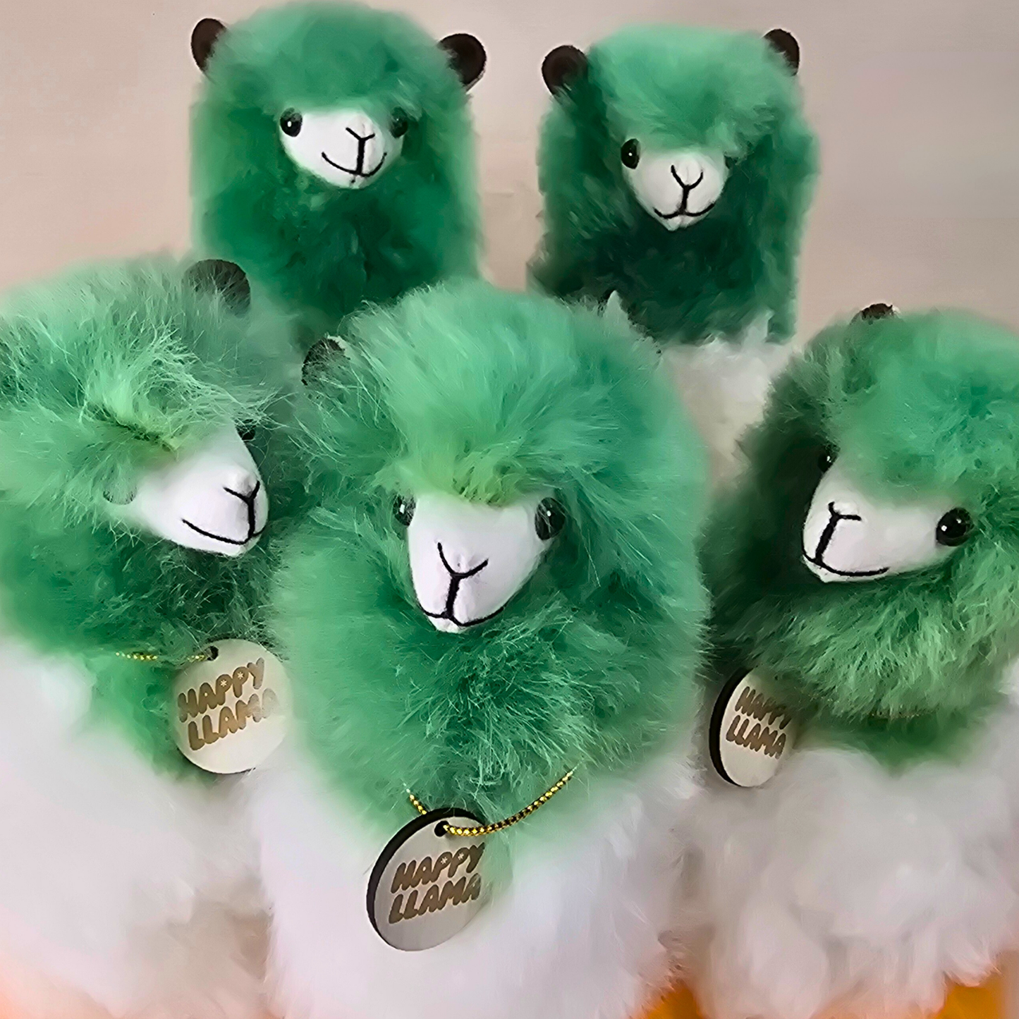 Happy Llama – Medium Irish Edition