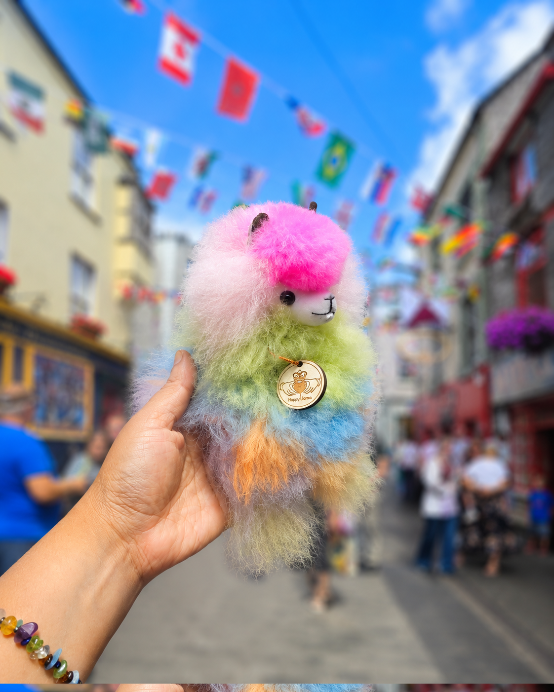 Claddagh Handmade Alpaca Llama – Inspired by Galway's Colourful Streets