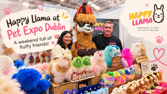 Our Pet Expo Dublin 2026 Adventure