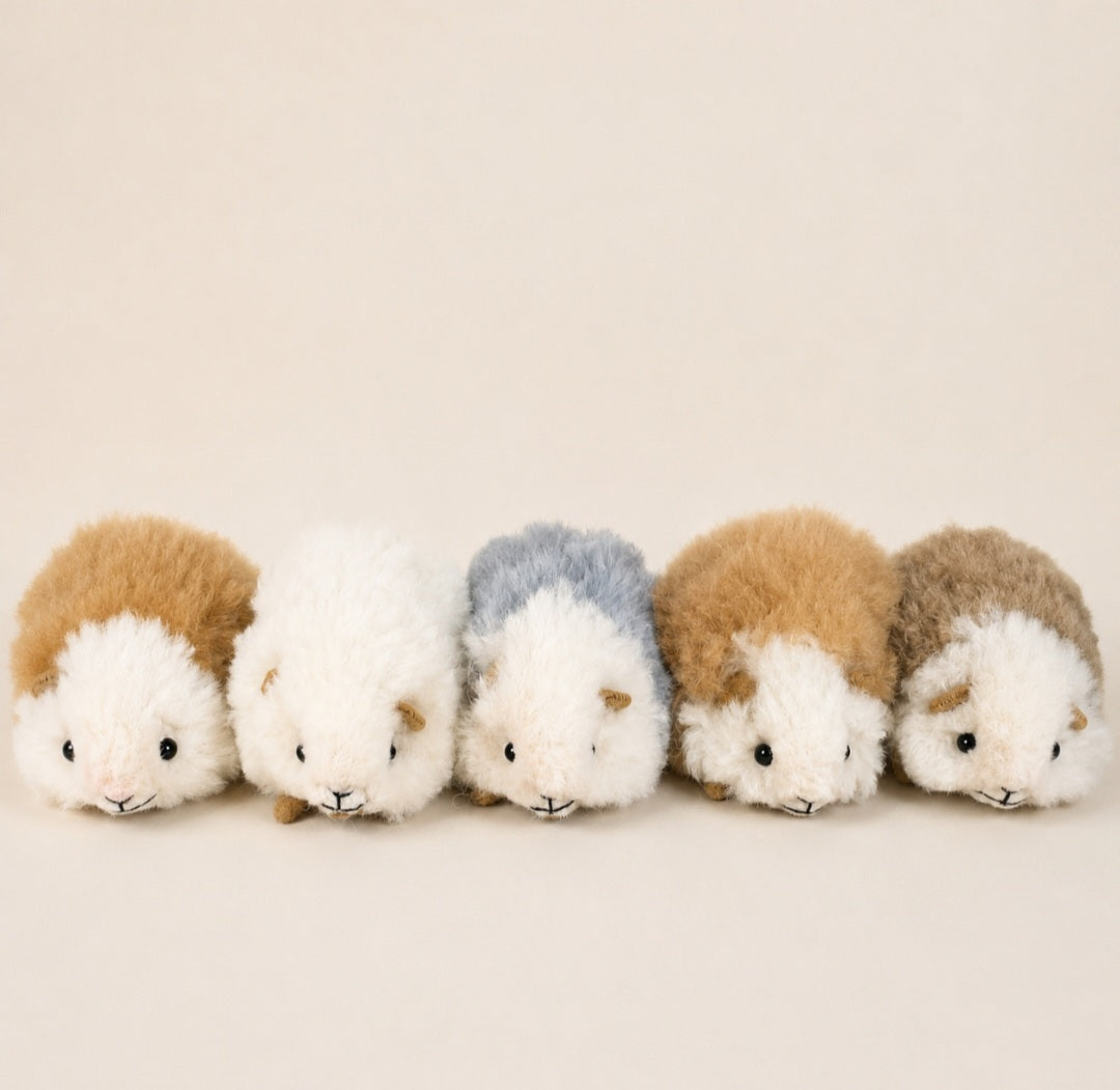 🐹 GUINEA PIGS