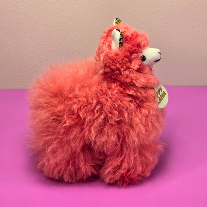 Happy Llama – Small - Ears Design