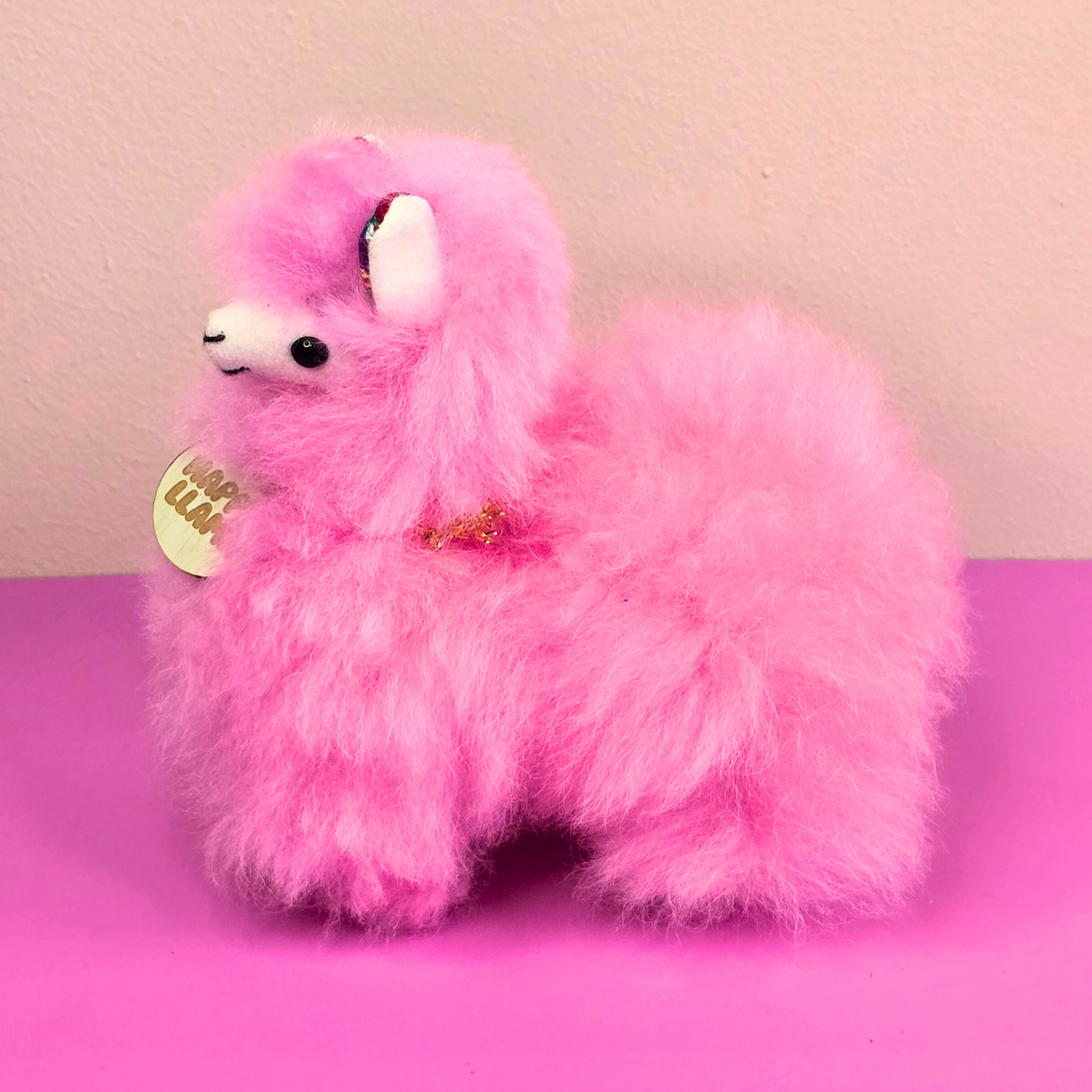 Happy Llama – Small - Ears Design