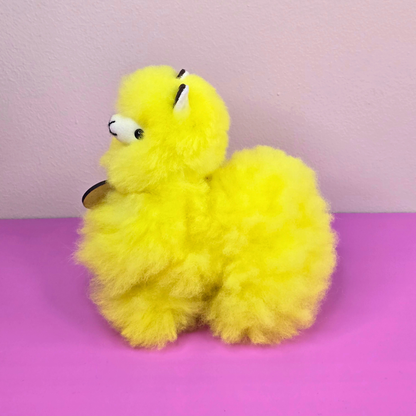 Happy Llama – Small –  colours