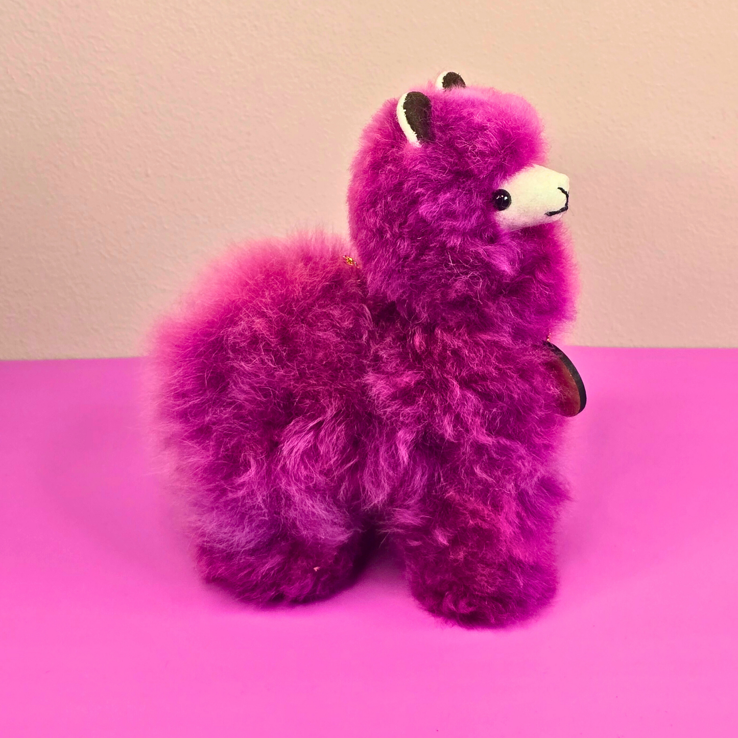 Happy Llama – Small –  colours