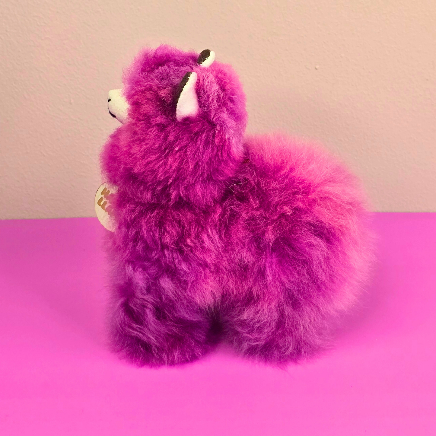 Happy Llama – Small –  colours