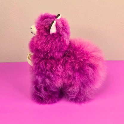 Happy Llama – Small –  colours