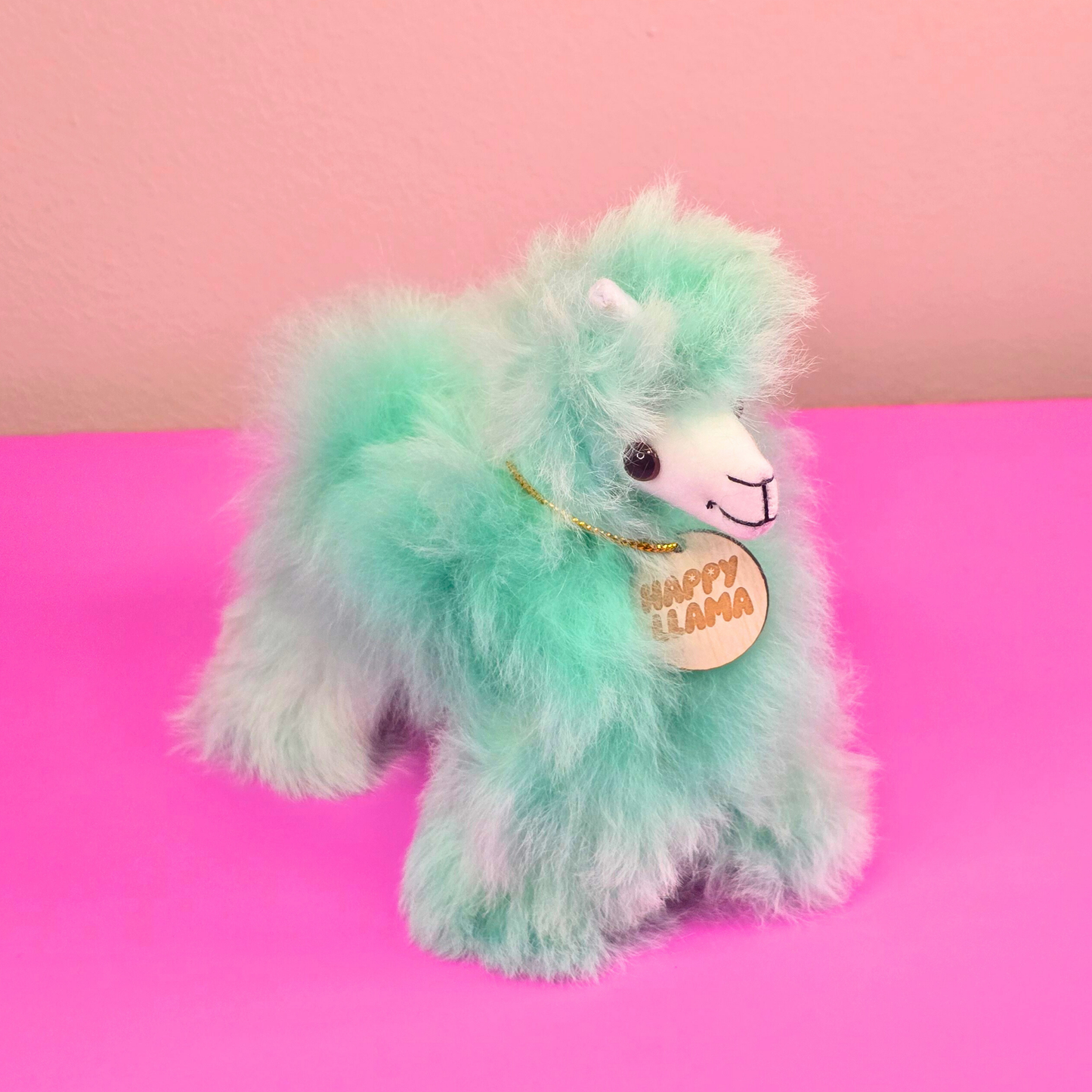 Happy Llama – Small –  colours