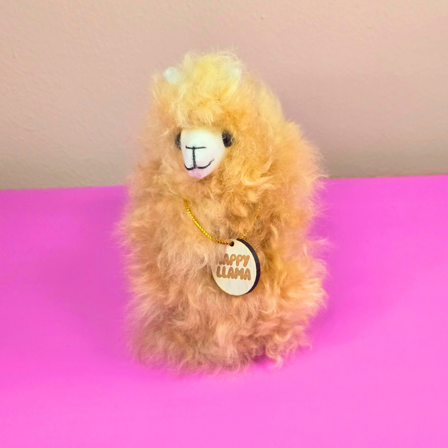 Happy Llama – Small –  colours