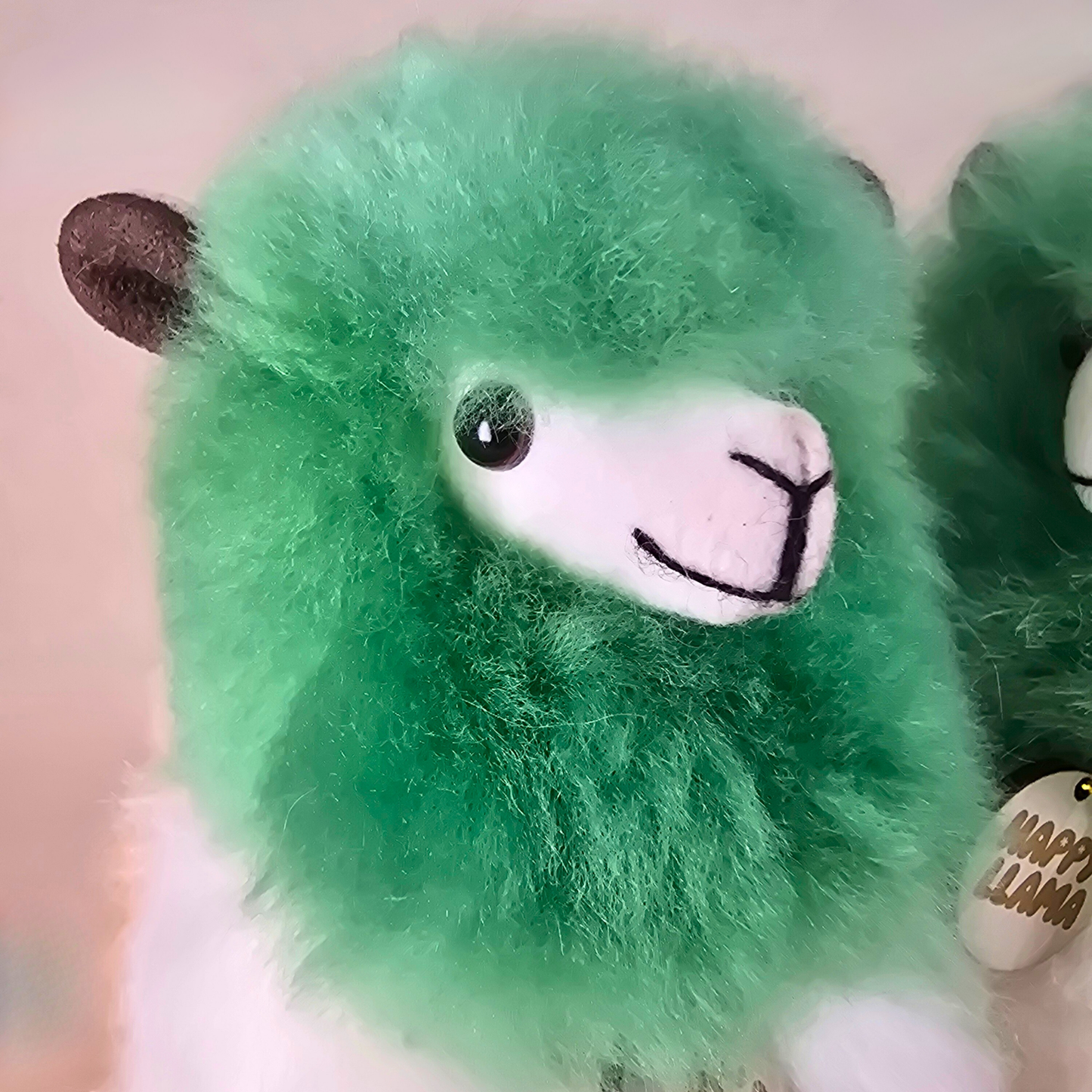 Happy Llama – Medium Irish Edition