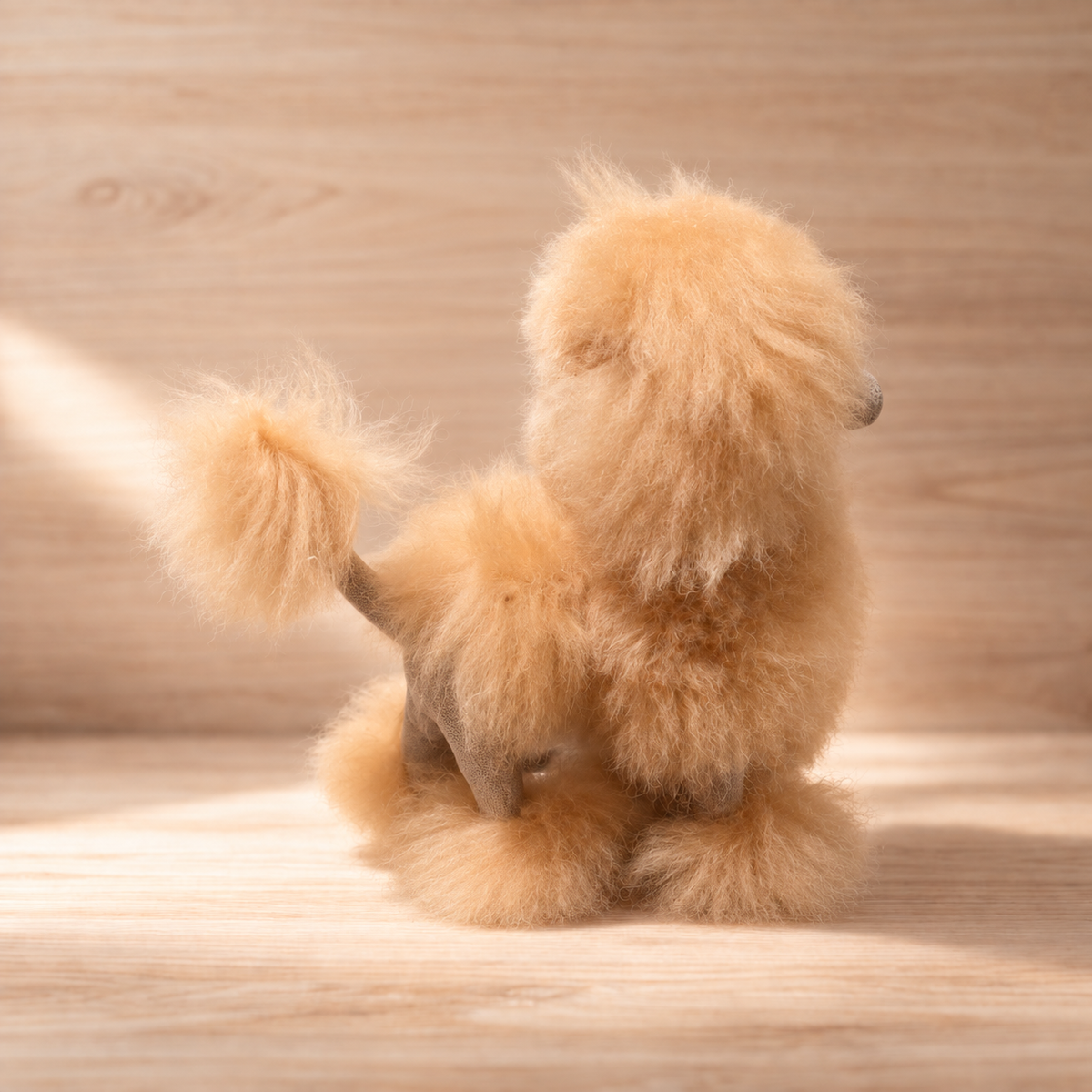 The Poodles