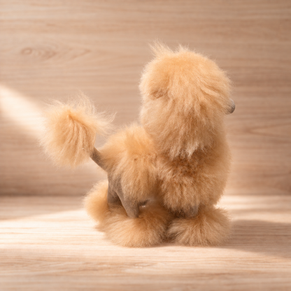 The Poodles