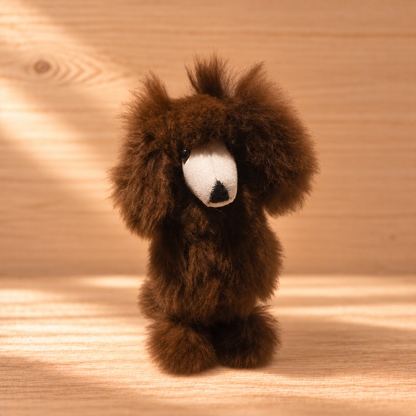 The Poodles