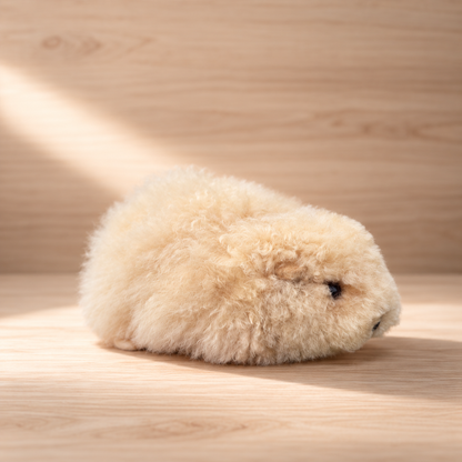 Baby Alpaca Guinea Pig | Handmade in Peru