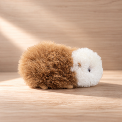 Baby Alpaca Guinea Pig | Handmade in Peru