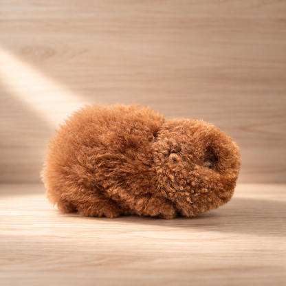 Baby Alpaca Guinea Pig | Handmade in Peru