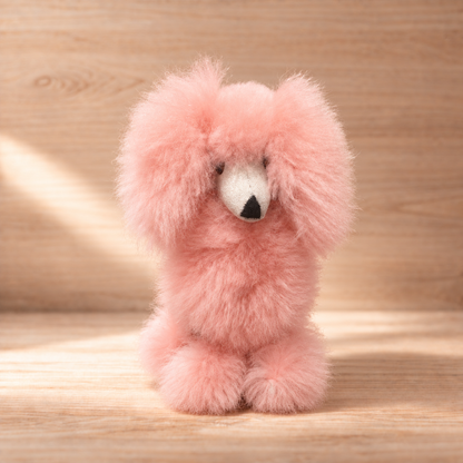 The Poodles
