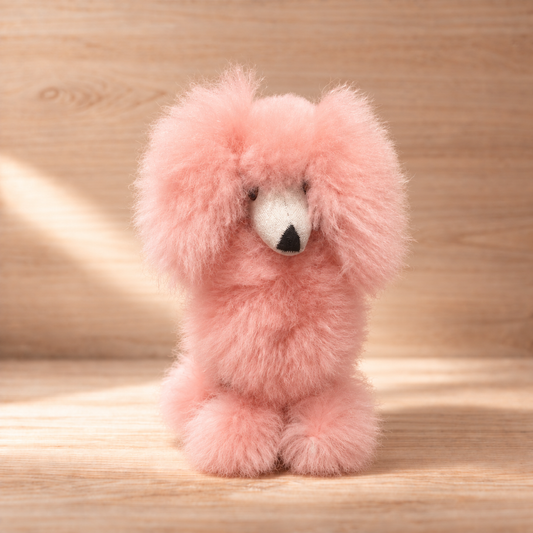 The Poodles
