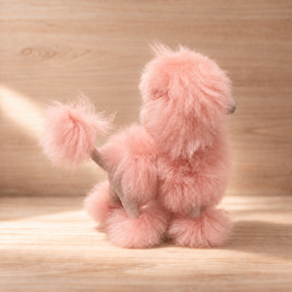 The Poodles