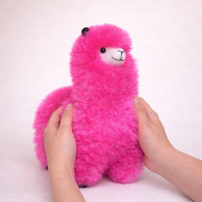Andean Blossom tall pink alpaca llama shown in hands for size reference video