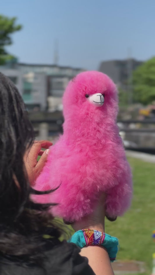 🌈Playful Llama Large Pink
Bold • Bright • Joyful