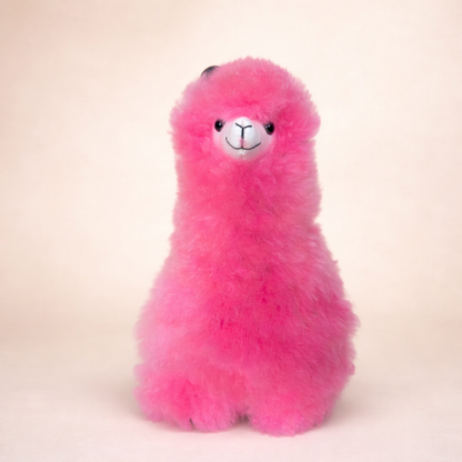 🌈Playful Llama Large Pink
Bold • Bright • Joyful