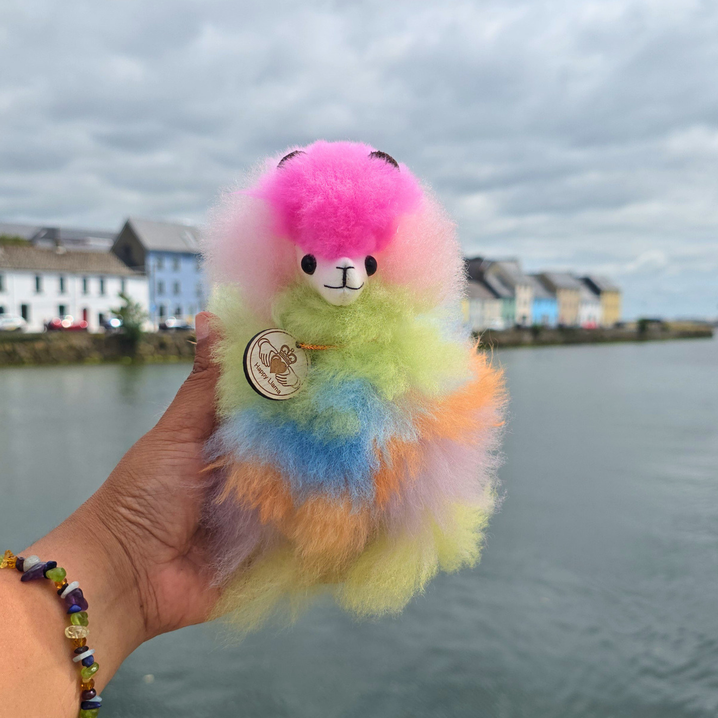 Claddagh Handmade Alpaca Llama – Inspired by Galway's Colourful Streets