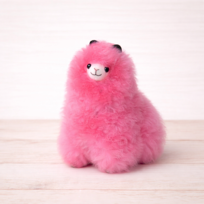 ☁️Soft Llama Medium • Calm • Balanced • Warm