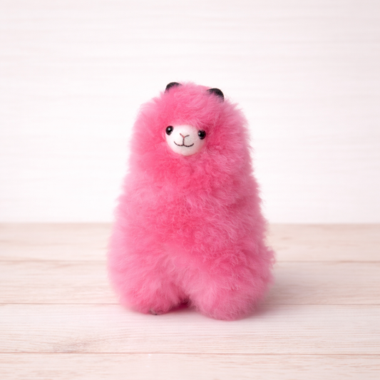 ☁️Soft Llama Medium • Calm • Balanced • Warm