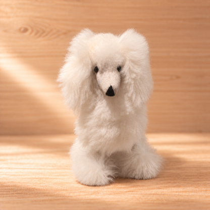 The Poodles