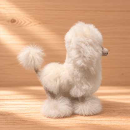 The Poodles