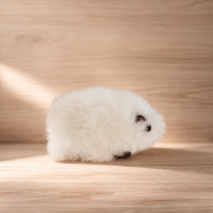 Baby Alpaca Guinea Pig | Handmade in Peru